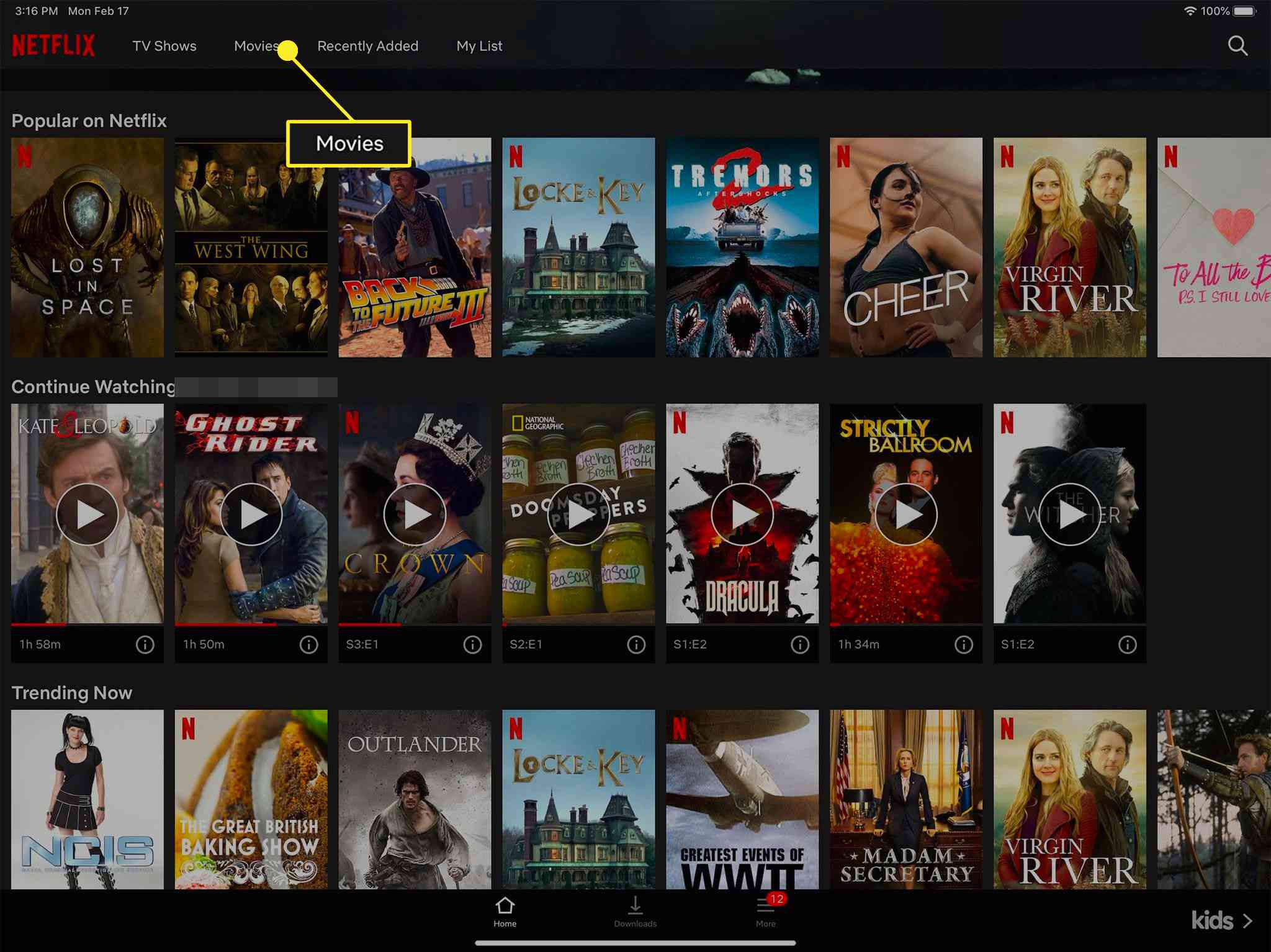 Can You Download Movies On Netflix On Mac